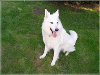 Bild 005