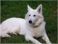 Bild 025