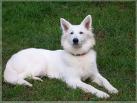 Bild 026