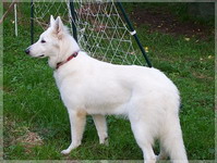 Bild 035