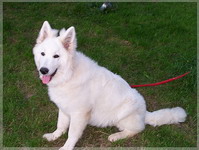 Bild 061