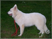 Bild 070