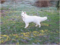 Bild 092-2
