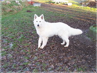 Bild 095