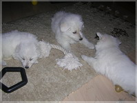 DSCN2811
