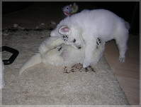 DSCN2823
