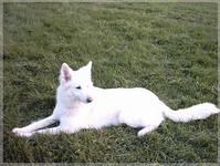 IMAGE0013