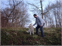 IMAGE0015-2