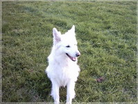 IMAGE0016
