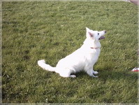 IMAGE0024