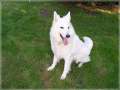 Bild 005