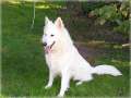 Bild 008