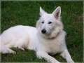 Bild 025