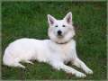 Bild 026
