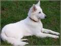 Bild 029