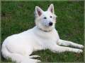 Bild 030