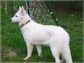 Bild 035