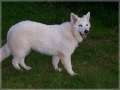 Bild 069