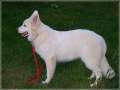 Bild 070