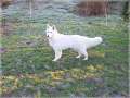 Bild 092-2