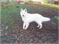 Bild 095