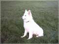 IMAGE0009