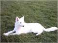 IMAGE0013