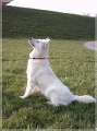 IMAGE020